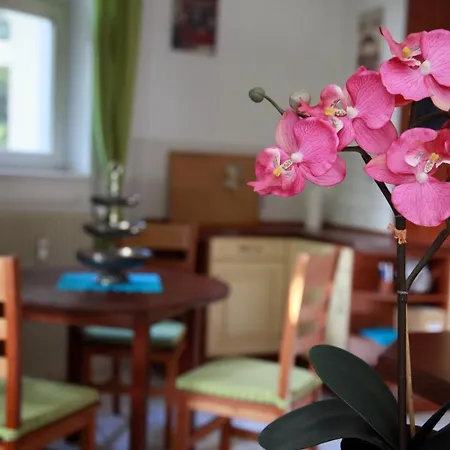 شقة Gohliser Stadtwohnung *